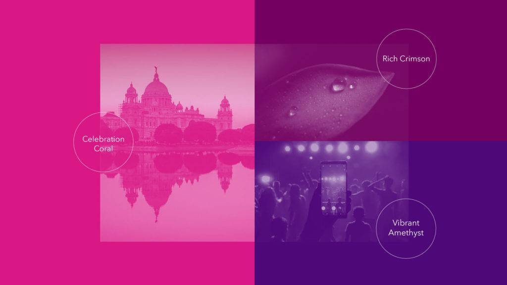 Brand colour palette for Olive co-living, including celebration coral, rich crimson and vibrant amethyst