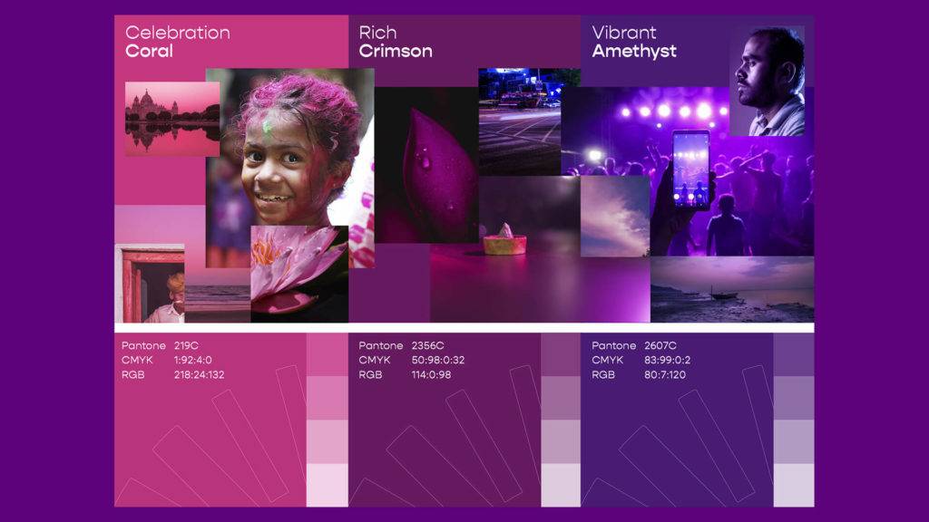 Brand colour palette for Olive co-living, including celebration coral, rich crimson and vibrant amethyst